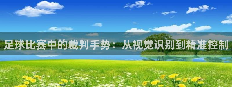  哈哈体育体育平台-胜利因您更精彩：足球比赛中的裁判手势：从视