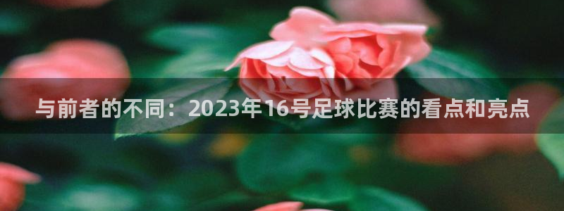  vsport体育官网：与前者的不同：2023年16号足球比赛