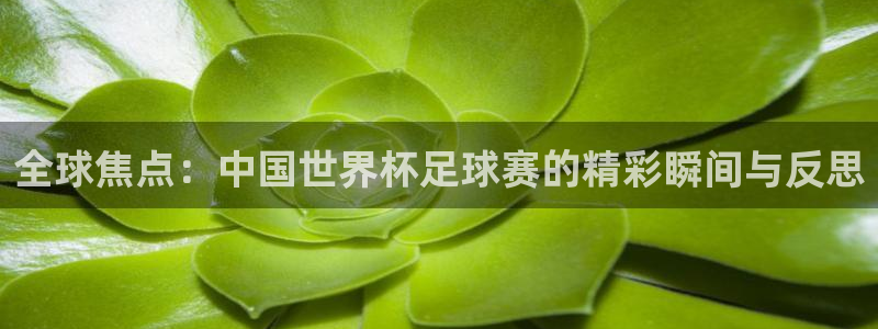 vsport体育在线官网阿根廷：全球焦点：中国世界杯足球赛的