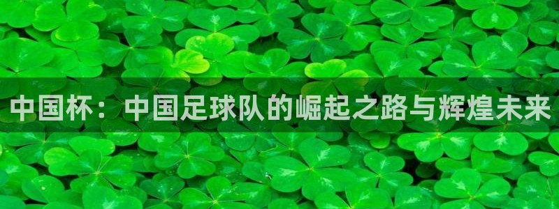  vsport体育在线官网：中国杯：中国足球队的崛起之路与辉煌