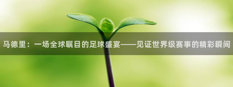 Vsport体育官方网站入口：马德里：一场全球瞩目的足球盛宴