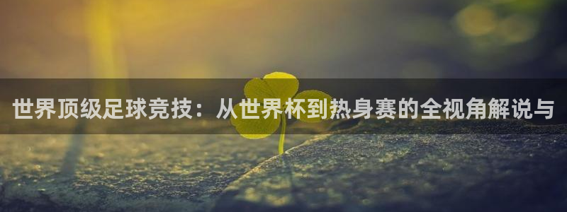 vsport体育官网：世界顶级足球竞