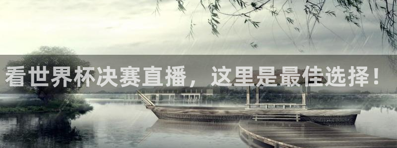vsport体育在线官网：看世界杯决