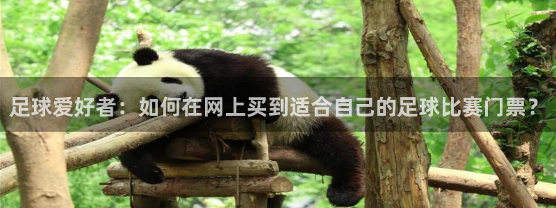 vsport体育平台app：足球爱好