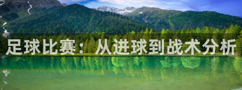  哈哈体育体育平台-胜利因您更精彩：足球比赛：从进球到战术分析